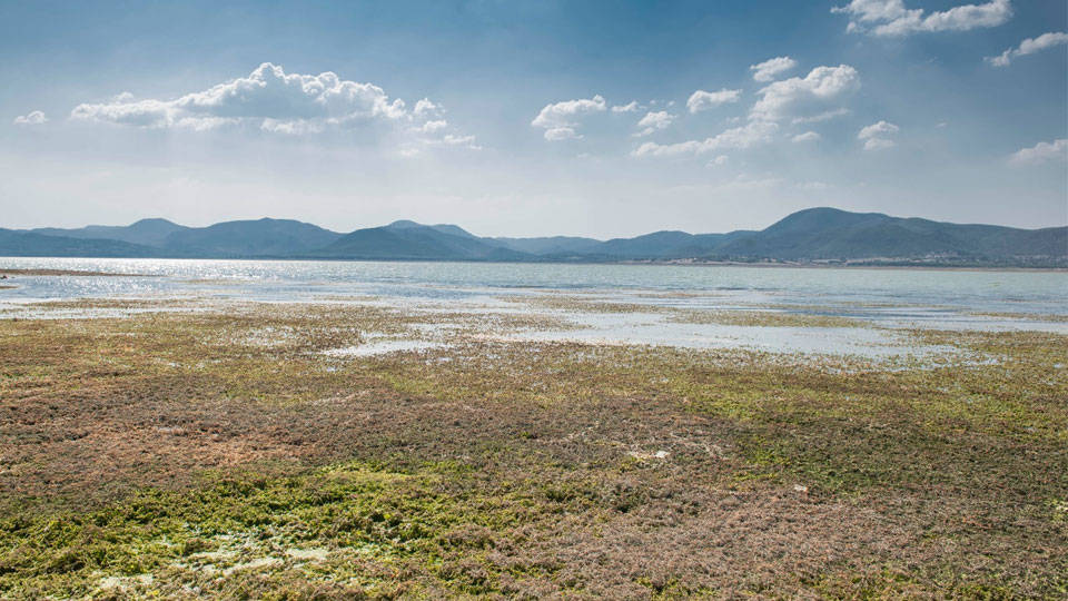 İzmir'deki Tahtalı Barajı'nda 270 günlük su bulunuyor