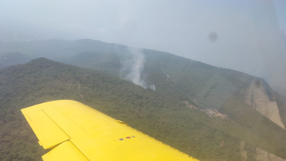 İzmir'in Menderes ilçesinde orman yangını
