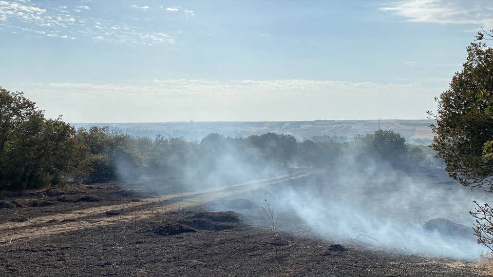 Silivri'de orman yangını: Kundaklama şüphesiyle inceleme başlatıldı