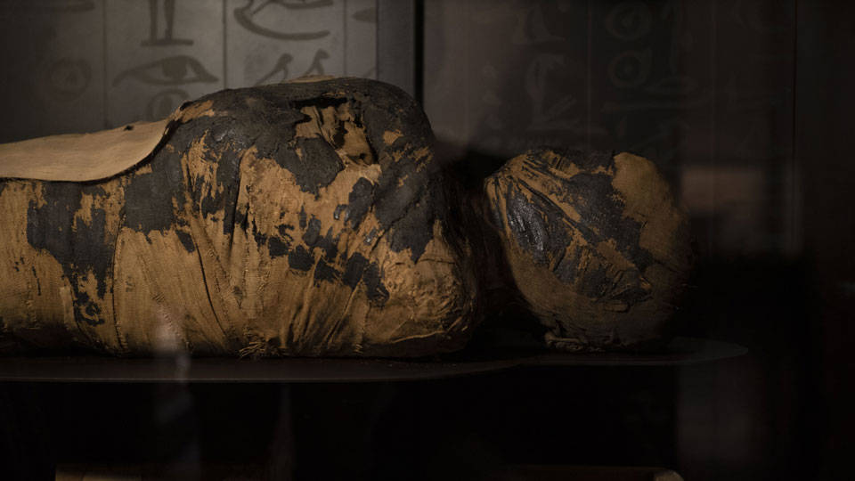 Antik Mısır mumyasında kullanılan 3500 yıllık balsamın orijinal kokusu tekrar üretildi