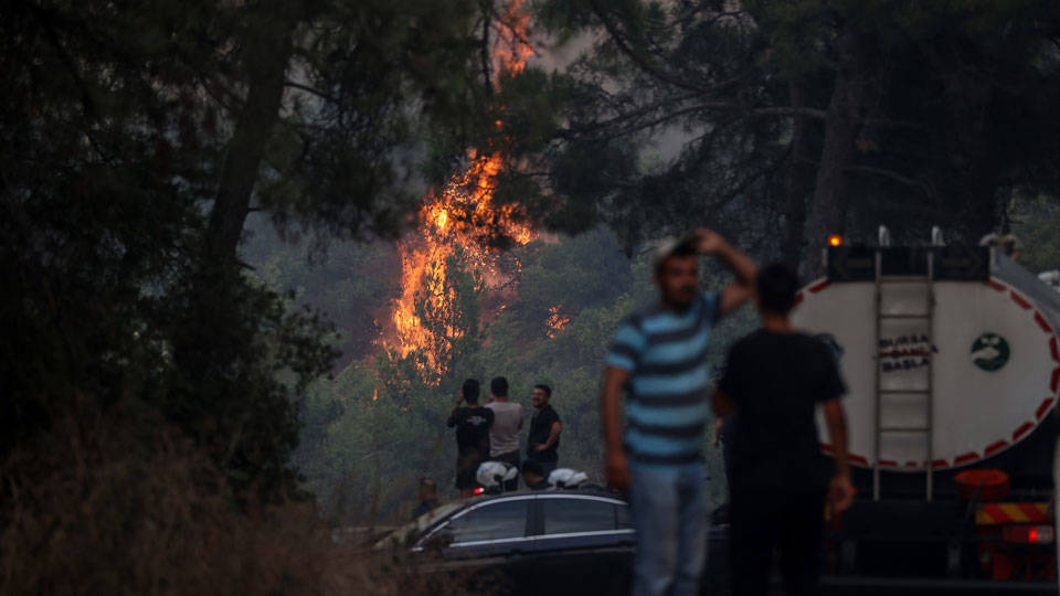 Bursa'nın Mudanya ilçesindeki orman yangını kontrol altına alındı
