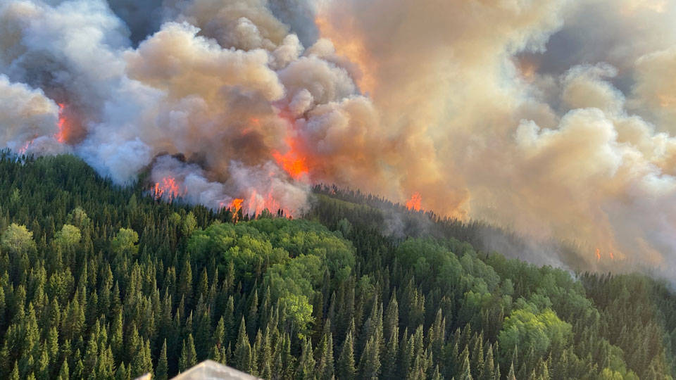 Kanada'da 800'e yakın orman yangını kontrol altına alınamadı