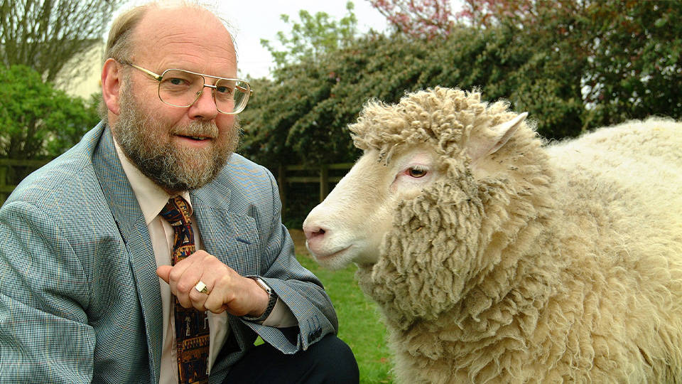 Koyun Dolly’i klonlayan bilim insanı Ian Wilmut 79 yaşında hayatını kaybetti