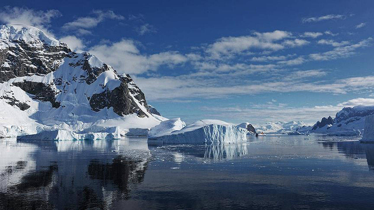 Antarktika'daki deniz buzu seviyesi, 'akıllara durgunluk verecek derecede düşük'