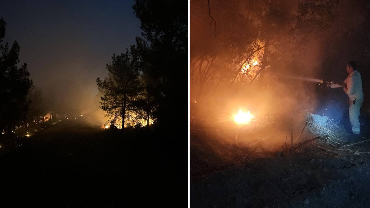 İzmir'de çıkan orman yangınına müdahale sürüyor