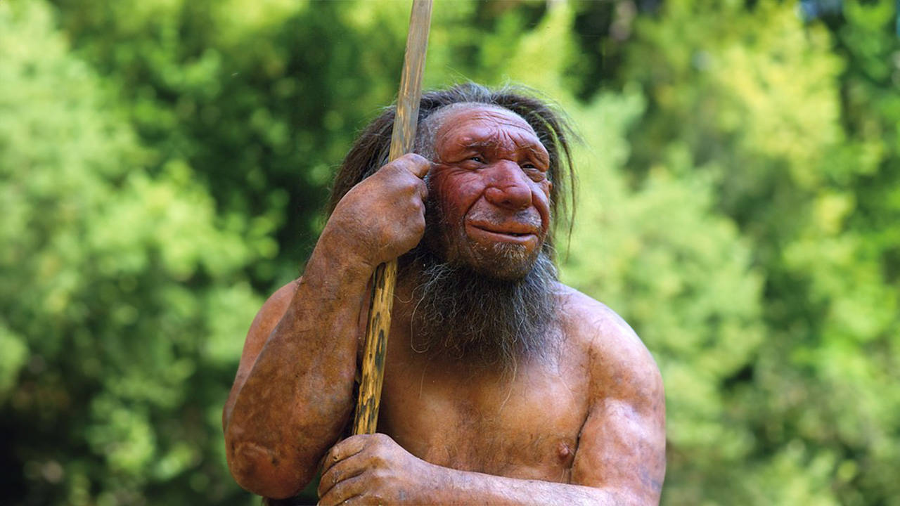 İspanya'da 50 bin yıldan eski Neandertal kalıntıları bulundu