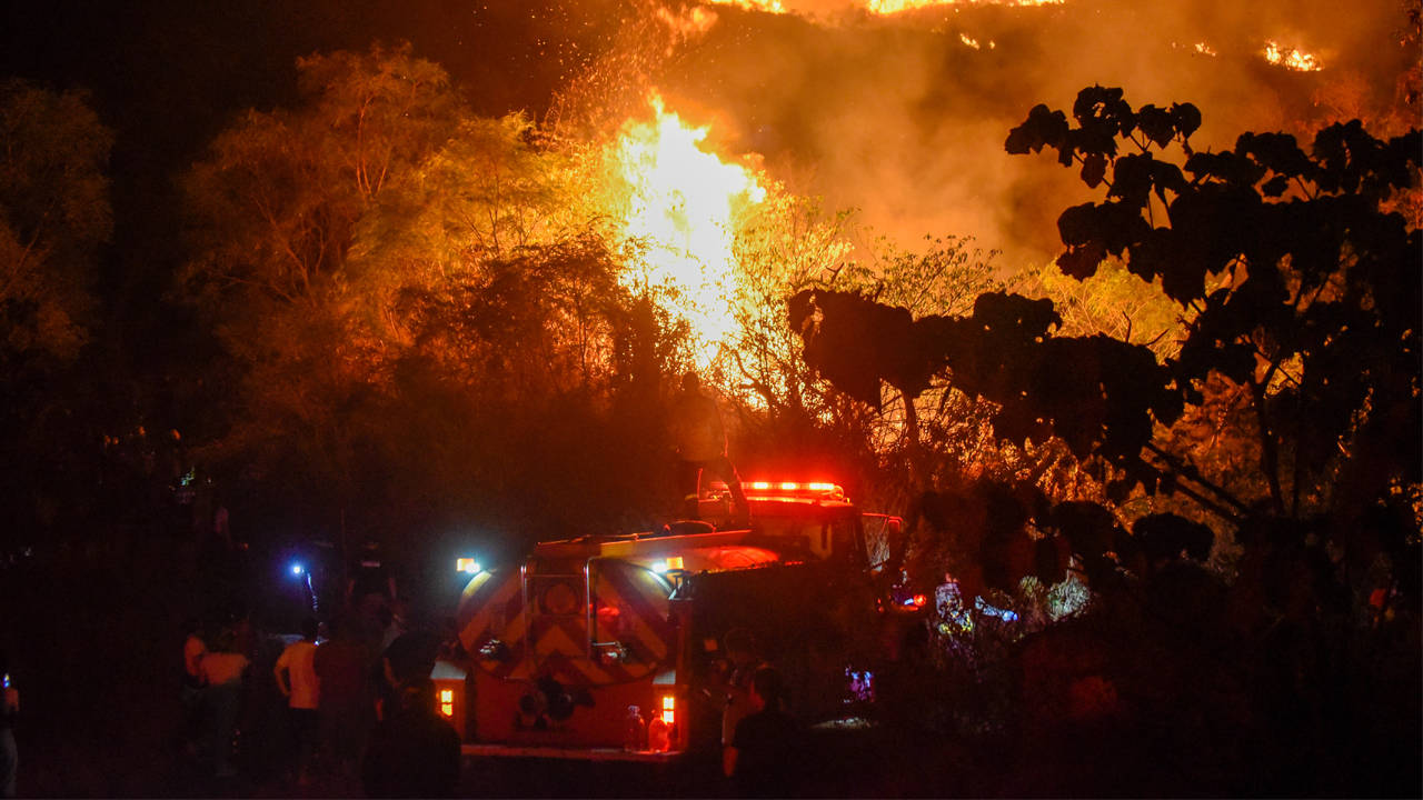 Kolombiya’da orman yangını: Alevler yerleşim yerlerine sıçradı