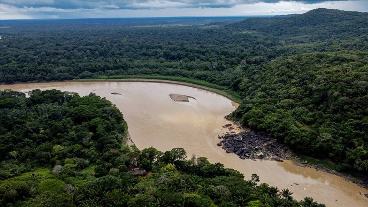 Amazonlar kuraklıkla mücadele ediyor: Son bir haftada 100'den fazla ölü yunus bulundu