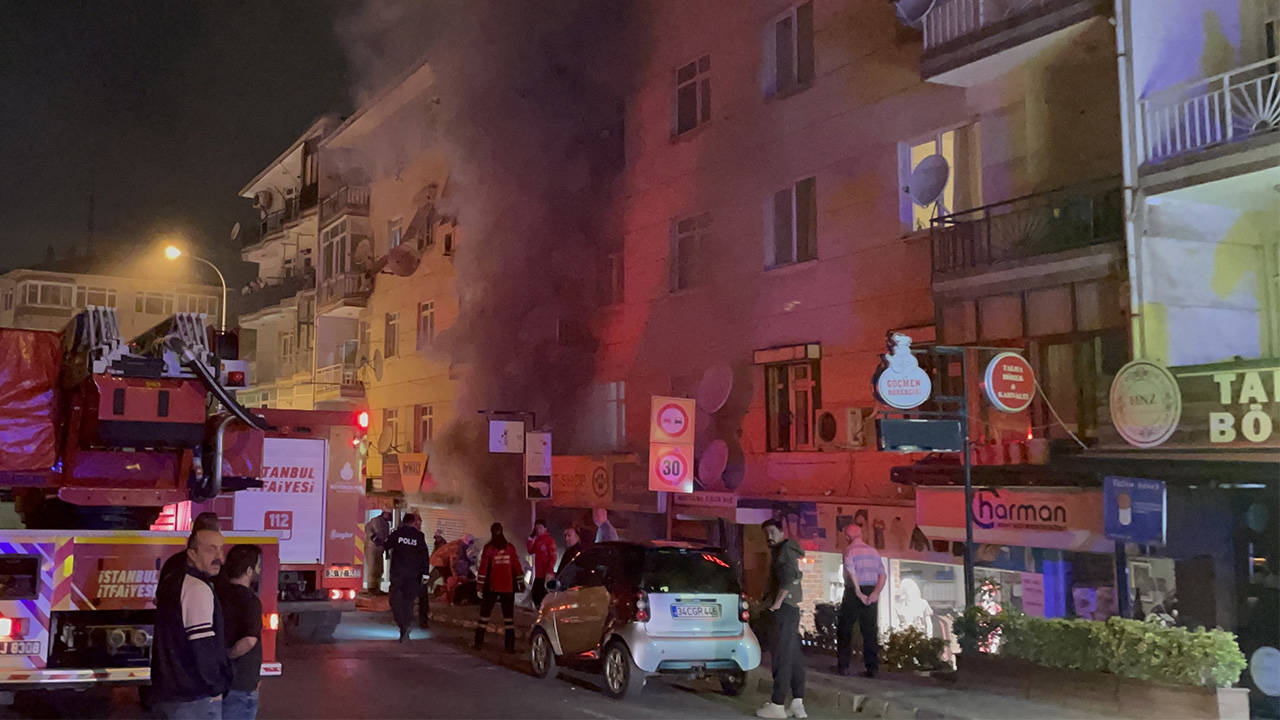 İstanbul'da petshopta çıkan yangında çok sayıda hayvan yaşamını yitirdi