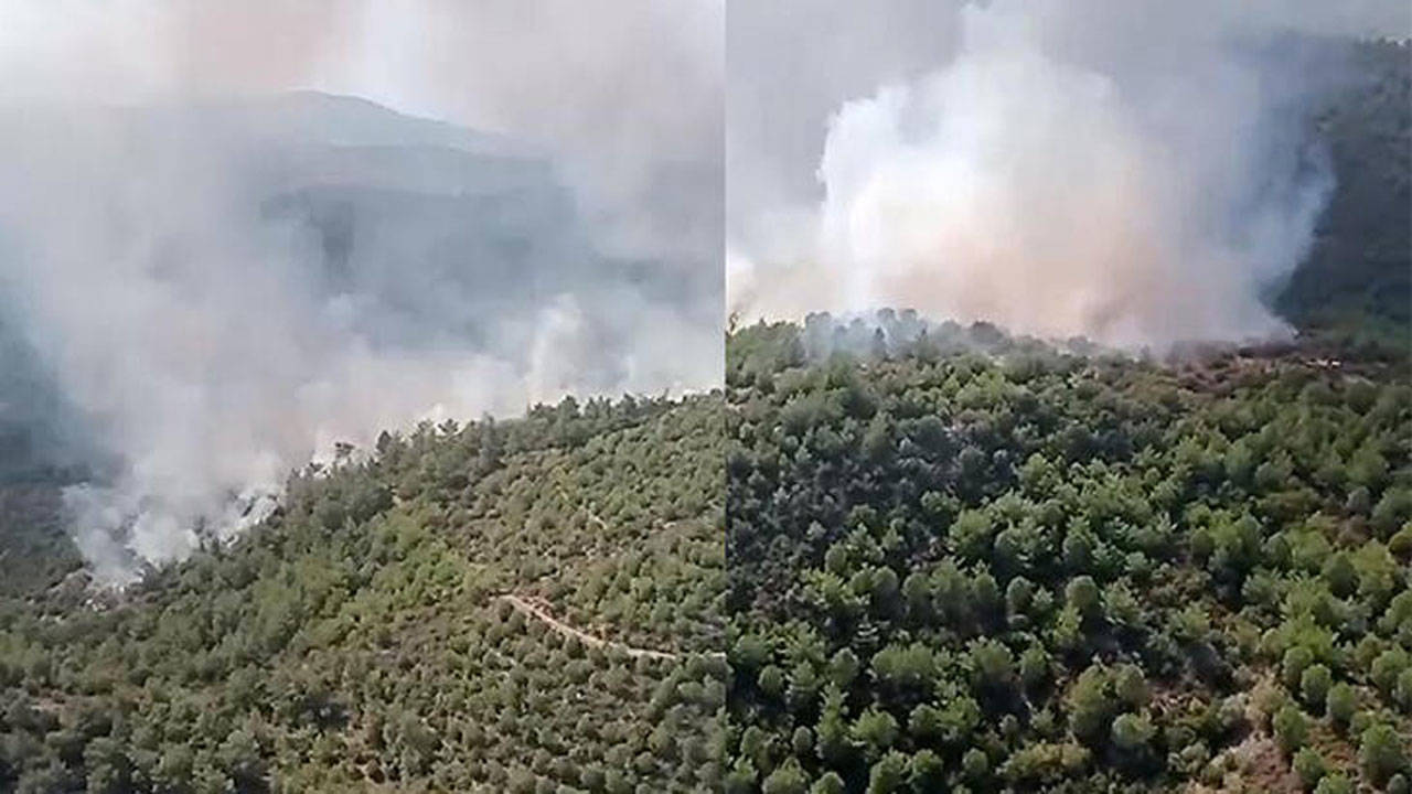 4 kentte ormanlar yandı