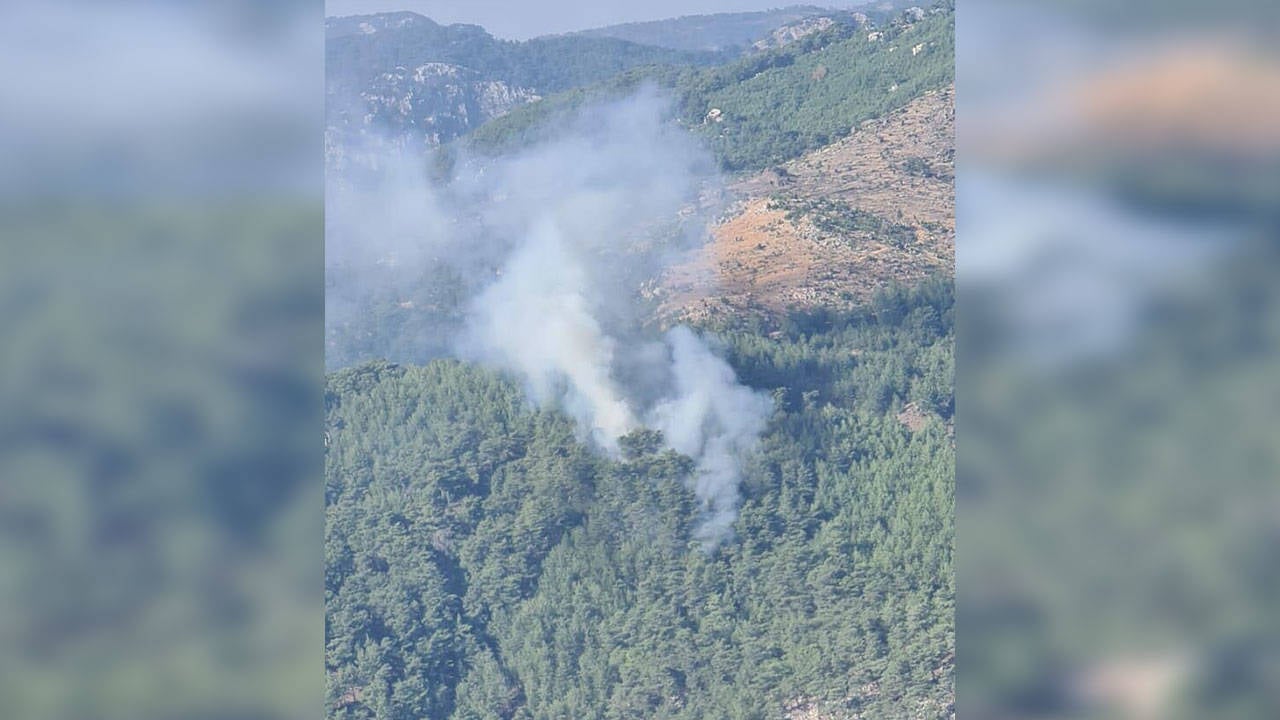 Muğla'da orman yangını: 1 hektar alan zarar gördü