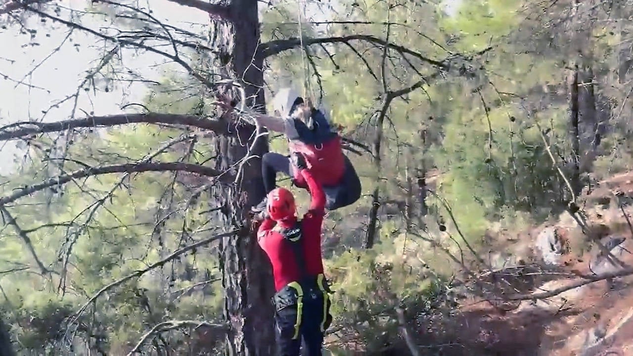 Ağaçta asılı kalan paraşütçü kurtarıldı