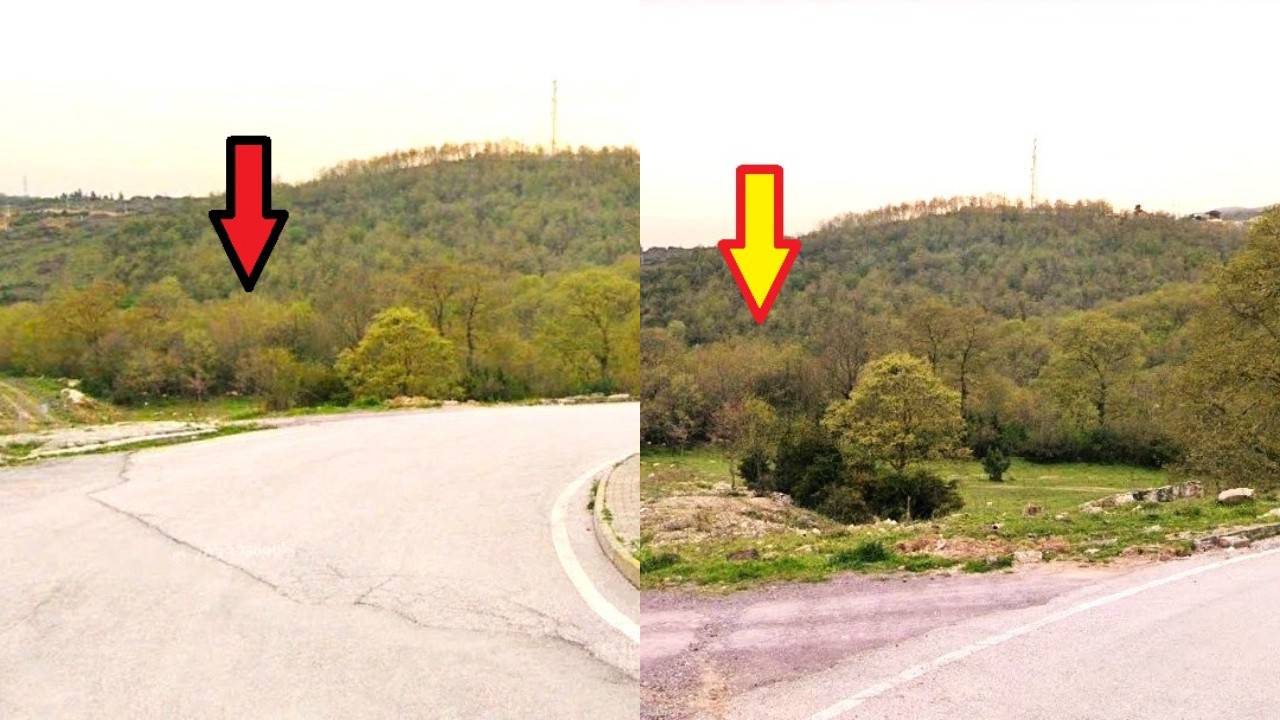 İmar planı değiştirilmişti: AKP'li Körfez Belediyesi, yetişkin ağaçlarla kaplı 3 parseli satışa çıkardı