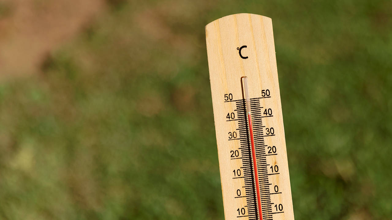 Araştırma: Dünya, kayıtlardaki en sıcak 12 aylık dönemi yaşadı