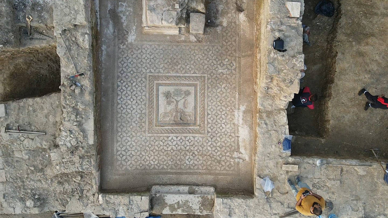 Düzce'de antik kentte "aslanlı mozaik" bulundu