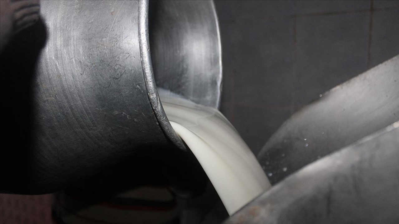CHP'den 'çiğ süt prim desteğinin artırılması' için kanun teklifi