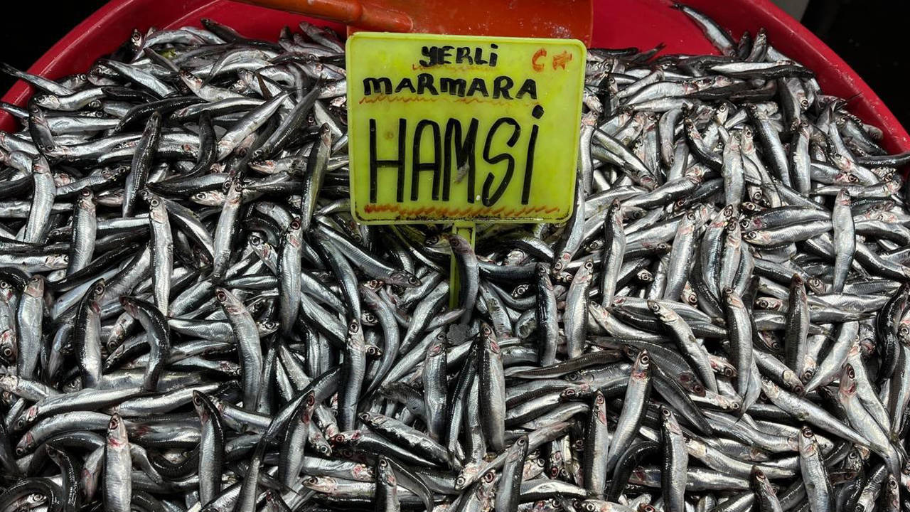 Marmara’da balık fiyatları fırladı