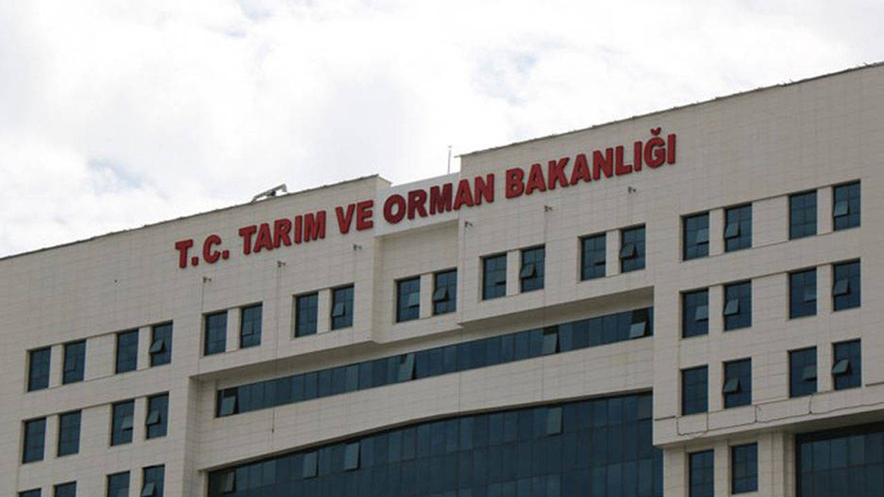 Resmi Gazete'de yayımlandı: Aroma verici hangi maddeler Türk gıda kodeksinden çıkarıldı?