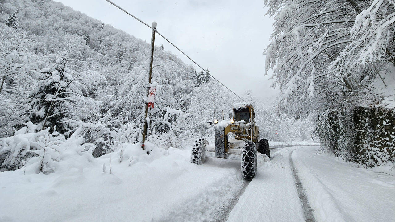 Doğu Karadeniz'de kar dalgası: 220 köy yolu kapandı