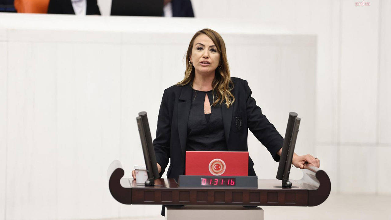 CHP'li Kara'dan Meclis'e "MESEM" projesi hakkında araştırma önergesi