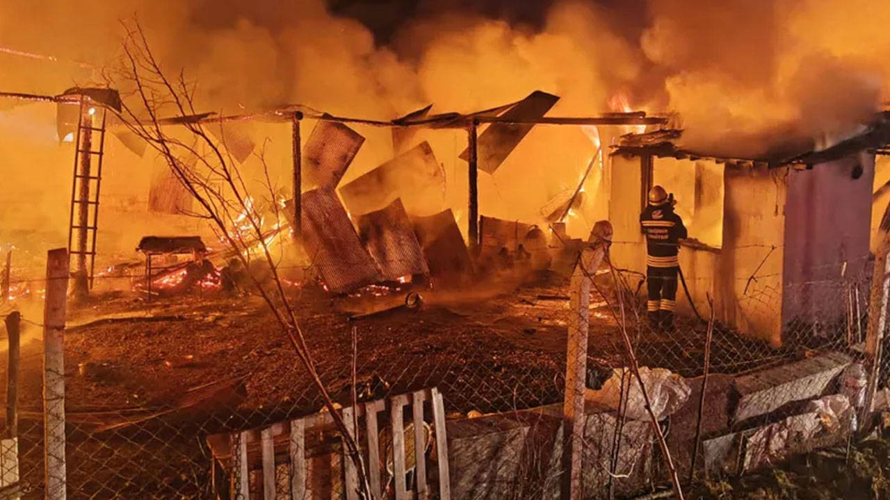 Eskişehir'de ağılda yangın: 63 küçükbaş hayvan hayatını kaybetti