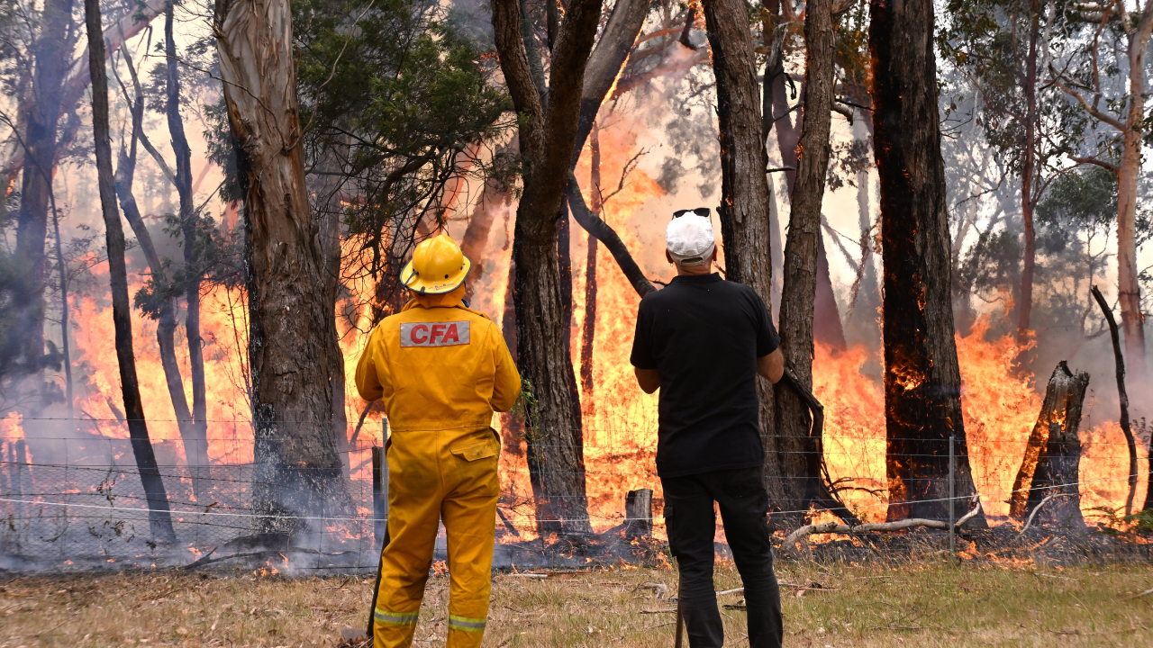 Avusturalya’da orman yangını: 16 bin hektarlık alan küle döndü