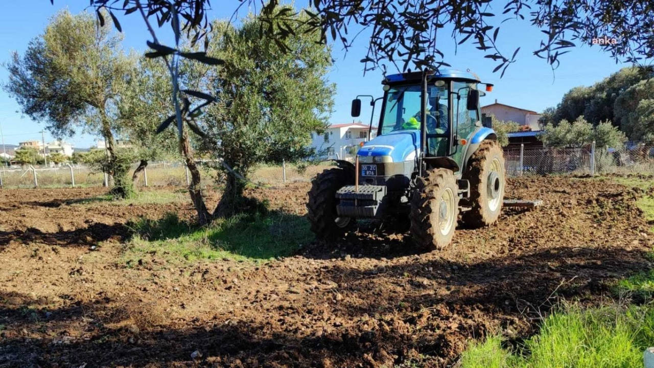Belediye çiftçiye destek için arazileri üretime açtı