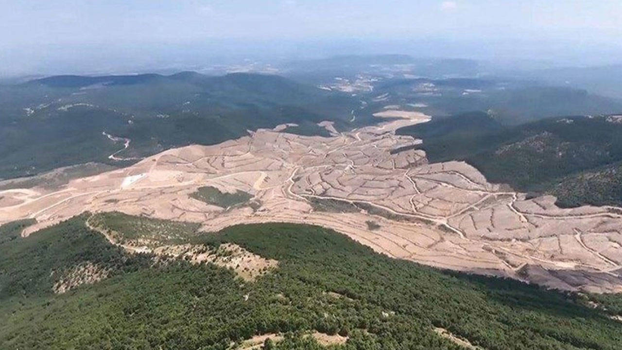 Kazdağları’nda binlerce ağaç daha tehlike altında: Maden şirketi 10 kat büyümek istiyor!