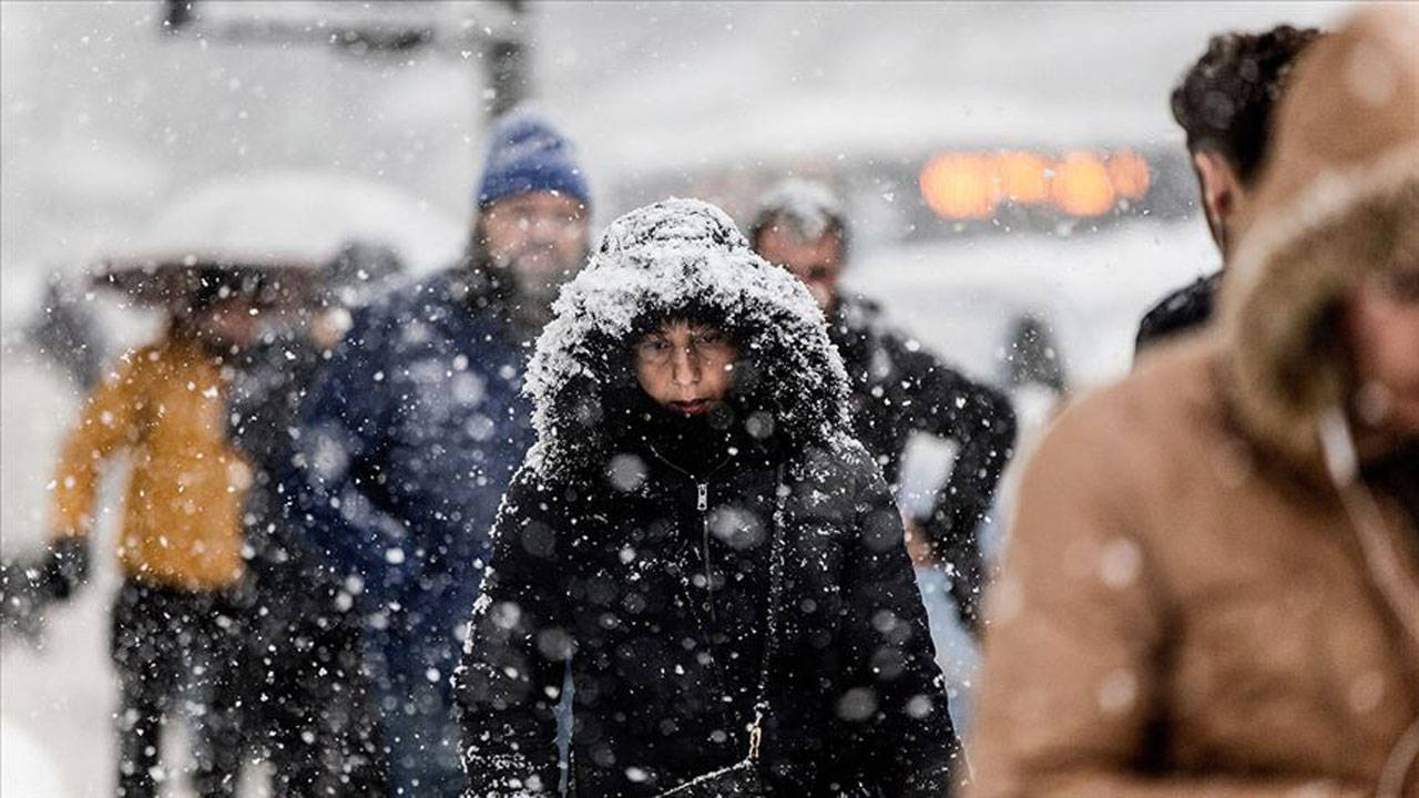 Moğolistan'da son 50 yılın en soğuk kışı: 4,7 milyondan fazla hayvan öldü
