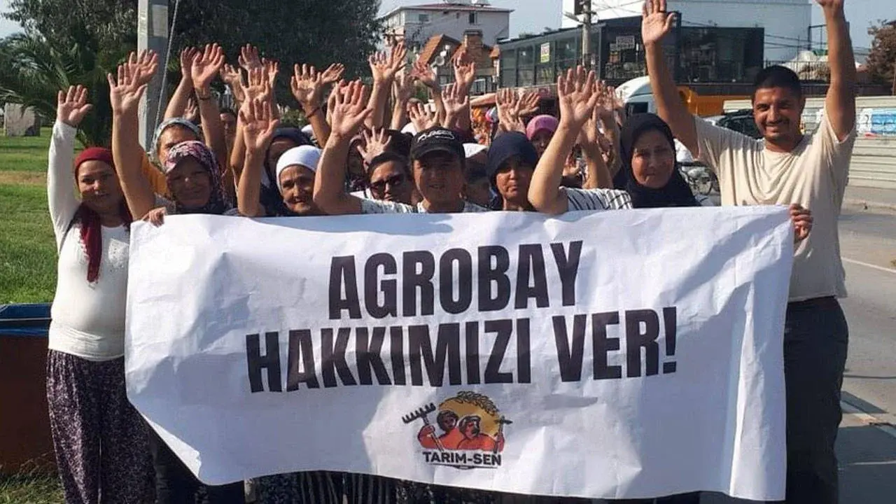 Tarım-Sen'den "Agrobay işçilerinin ilk kazanımı" açıklaması