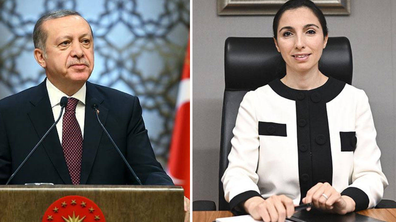 Barış Pehlivan: Erdoğan, Hafize Gaye Erkan'a 'yeni görev' vaadinde bulunmuş