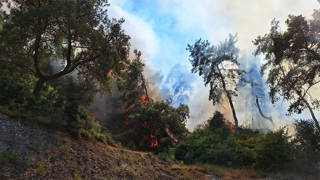 Antalyada orman yangını kontrol altına alındı