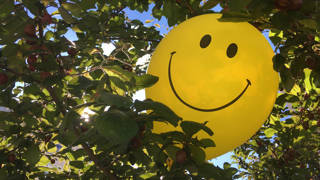 Harvard araştırması: Mutluluğun sırrı ne?