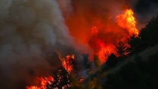 Kavurucu sıcakların 10 günlük bilançosu: 40 kentte 203 orman yangını