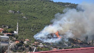 İzmirde Kemalpaşa ve Güzebahçede orman yangını