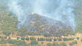 İzmirde otomobilden ormanlık alana sıçrayan yangın kontrol altına alındı