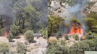 Milasta 5 hektarlık orman yangını kontrol altına alındı