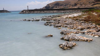 İklim krizi: Sular çekildi, Arin Gölünün kıyıları otlağa dönüştü