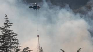 Antalyada çıkan orman yangınında 10 dönüm alan zarar gördü