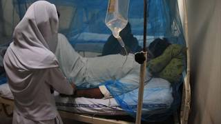 Nipah virüsü: Ölüm oranı Covid-19a göre çok daha yüksek