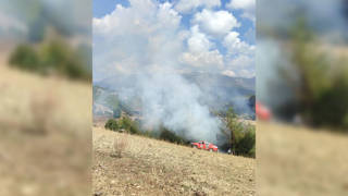 Adanadaki iki orman yangını kontrol altına alındı