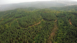 Erdoğan imzaladı: 11 ilde bazı alanlar orman sınırları dışına çıkarıldı