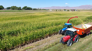 Tarımda üretici enflasyonu yıllık yüzde 52,66 arttı