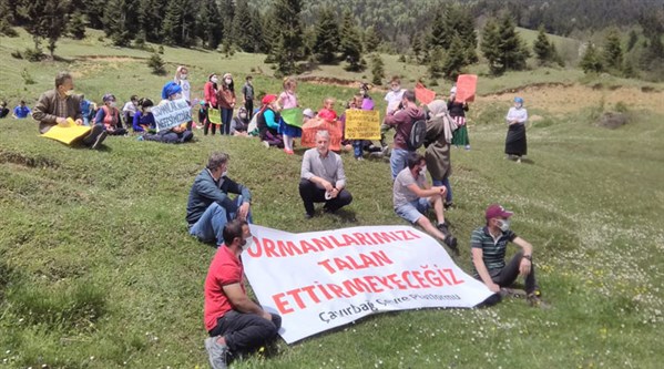 Trabzon'da salgın fırsatçılığına tepki: Ormanlarımızı talan ettirmeyeceğiz!